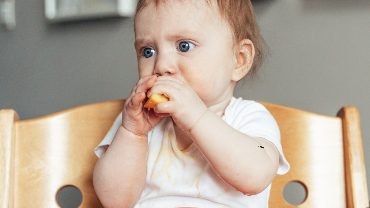 10 Symptoms Of Egg Allergy In Babies
