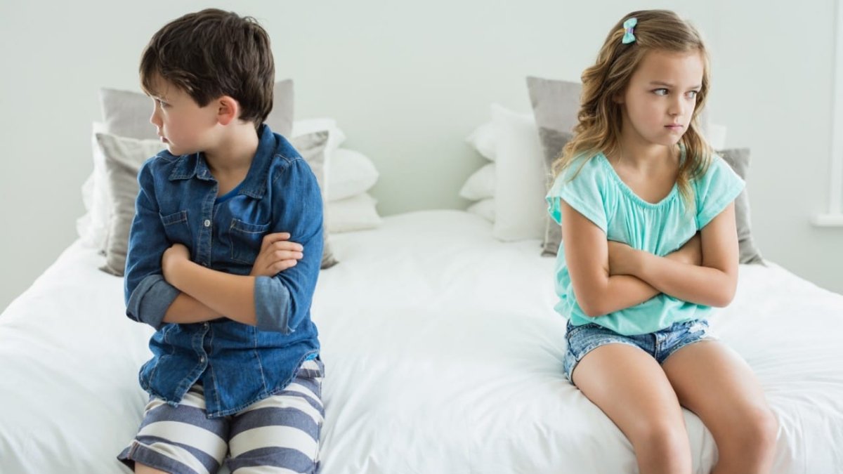 15 Clear Signs Of A Toxic Brother