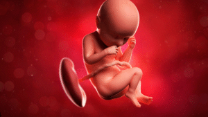 How A Baby's Position In The Womb Can Affect Your Delivery