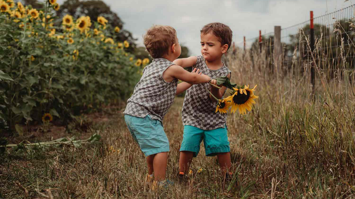 How To Prevent Excessive Aggression In Toddler