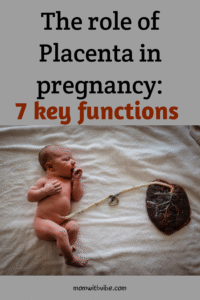 Placenta's role in Pregnancy: 7 Key functions