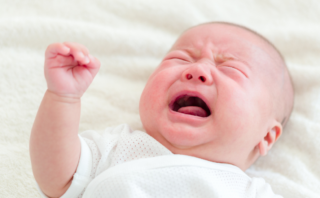 Where Does Fertilization Occur? 7 Things to Know