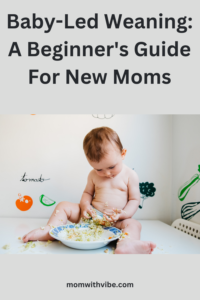 Baby-Led Weaning A Beginner's Guide For New Moms