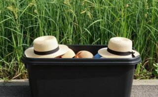 150 Summer Activities For Toddlers